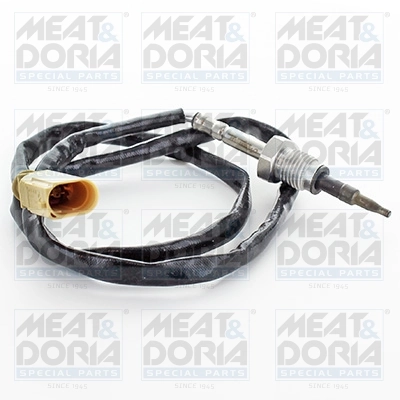 Sensor, exhaust gas temperature